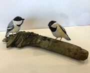 Two Black-Capped Chickadees