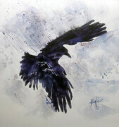 Raven (two)