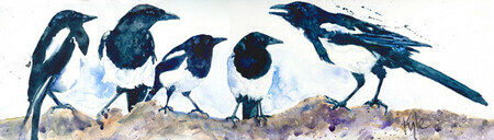 A Parliament of Magpies