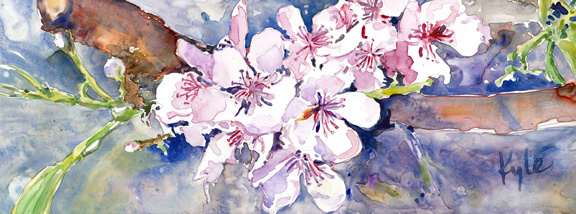 Apple Blossoms