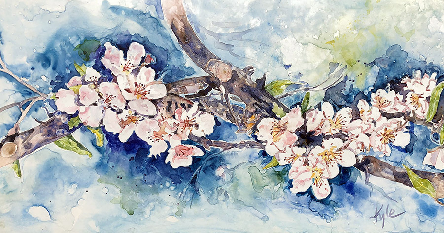 Apple Blossoms