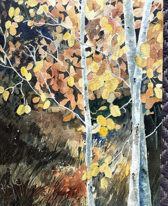 Autumn Aspens