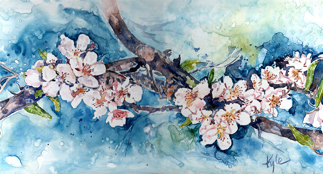 Apple Blossoms