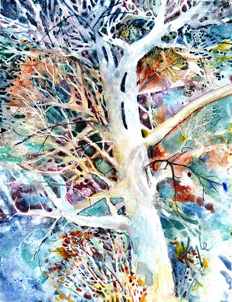 Branches