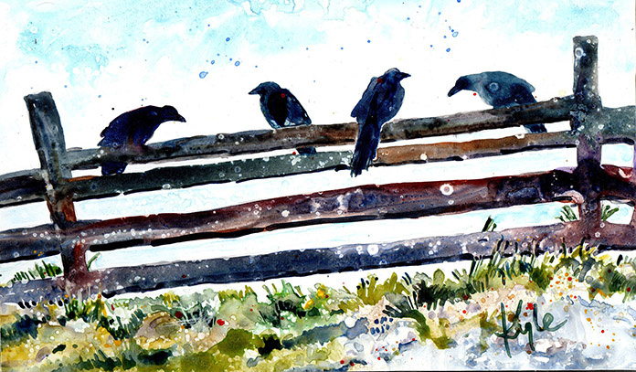 Crow Gathering