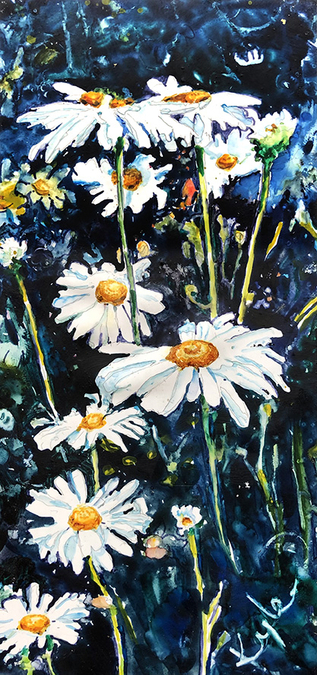 Daisies