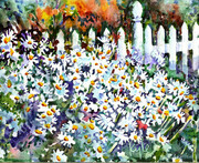 Shasta Daisies and Fence Two
