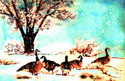 Geese in Winter