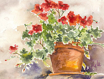 Geraniums One