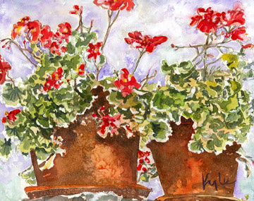 Geraniums Three