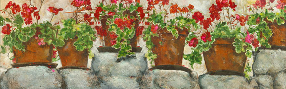 Geraniums