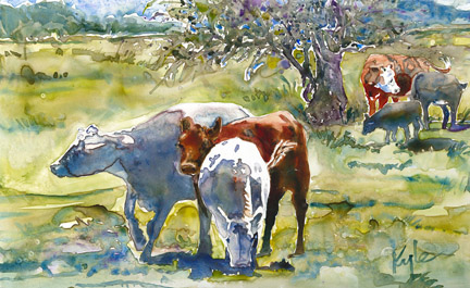 Lodge Road Cows -2