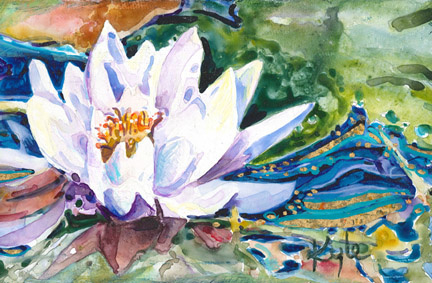 Kaloya Park Lily