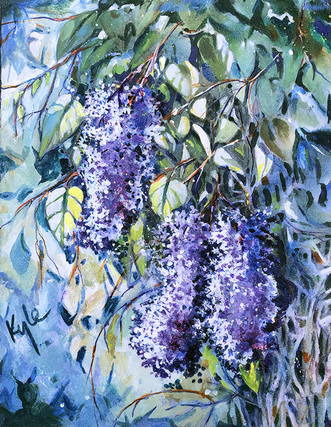 Lilacs