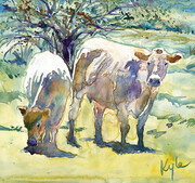 Lodge Road Cows -1