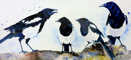 Magpies one