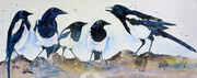 Magpies two