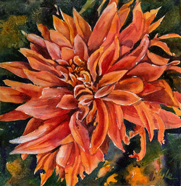 orange dahlia 2