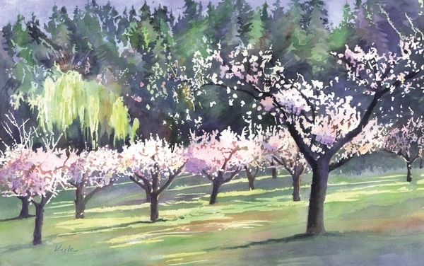 Peach Orchard