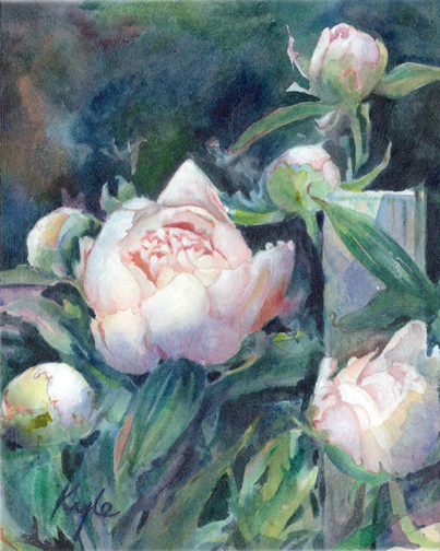 Peonies