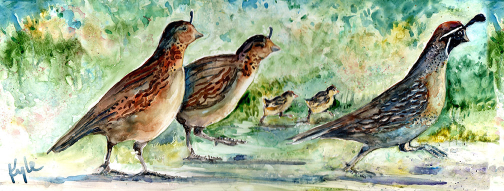 Running Quail