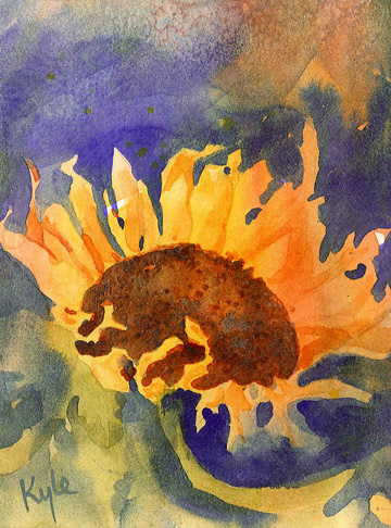 sunflower study 2