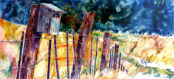 Walls & Fences 6 (Rangeland birdhouse)