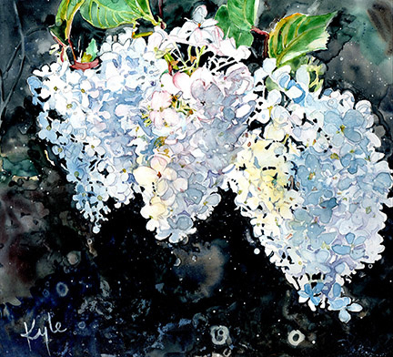 White Hydrangeas