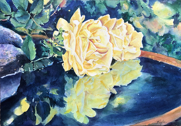 Yellow Roses Reflected